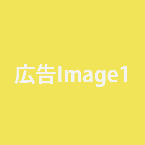 スポンサー広告1